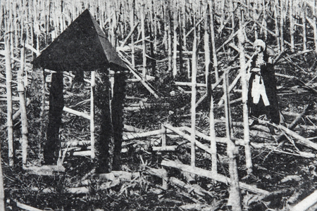 Længsel 06